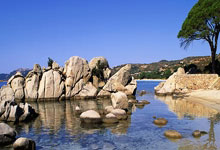 爱游戏官方-法拉利完胜威廉姆斯，维斯塔潘状态火热的简单介绍