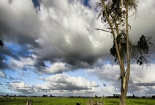 爱游戏官方-美洲篮球新秀崭露头角，备受瞩目