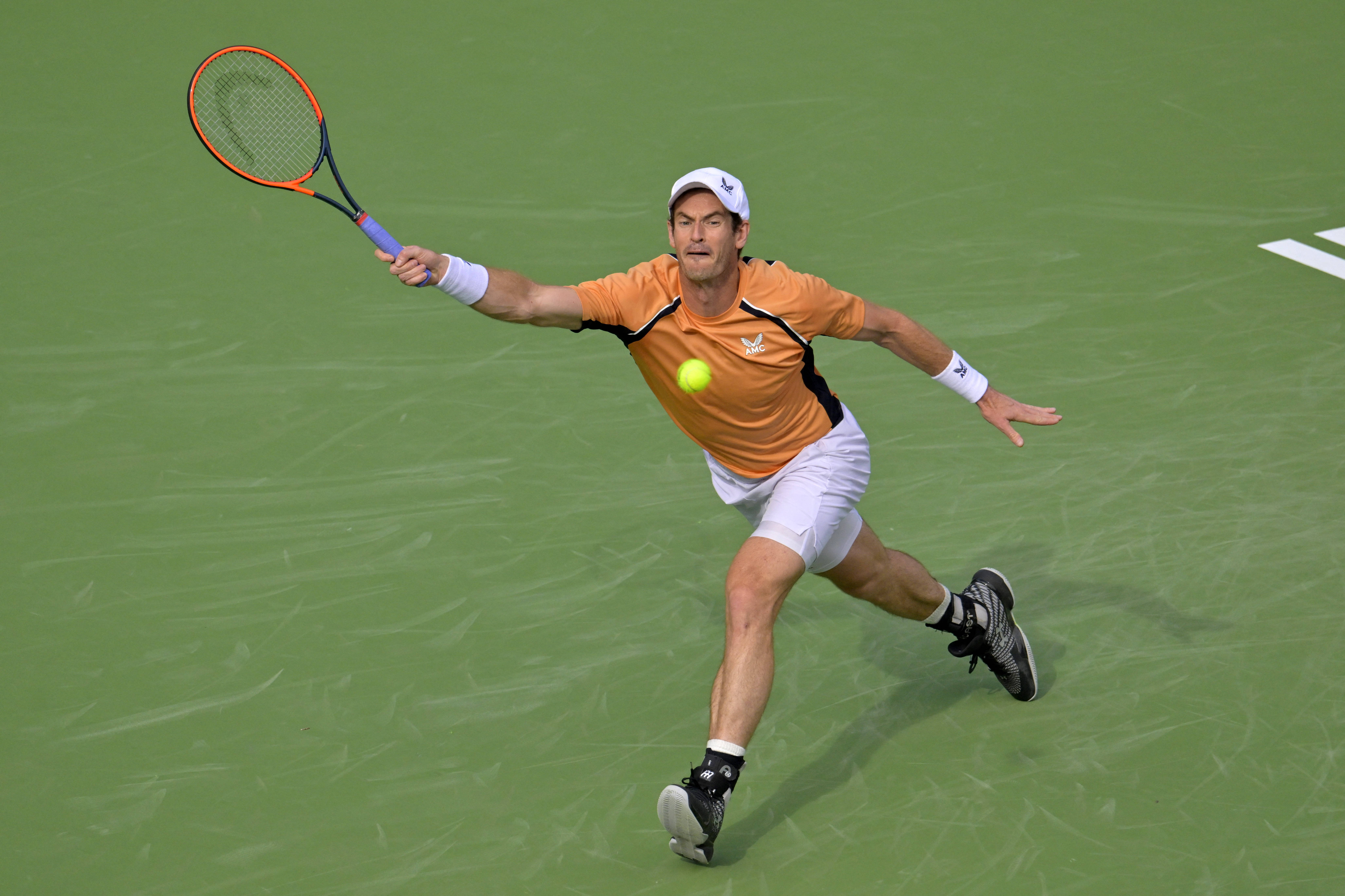 日本网球队力克英国网球队，穆雷关键制胜的简单介绍