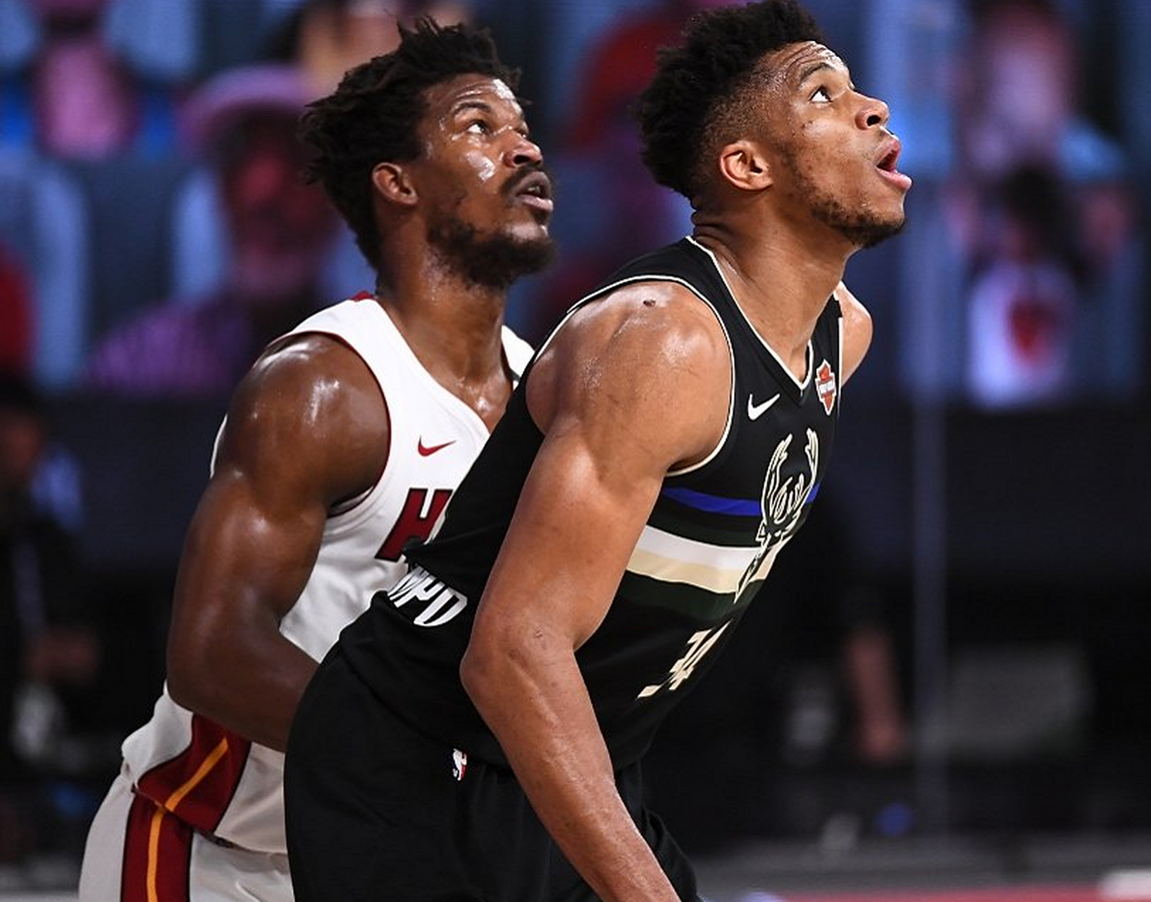 魔术翻盘雄鹿B队，莫里斯送出助攻