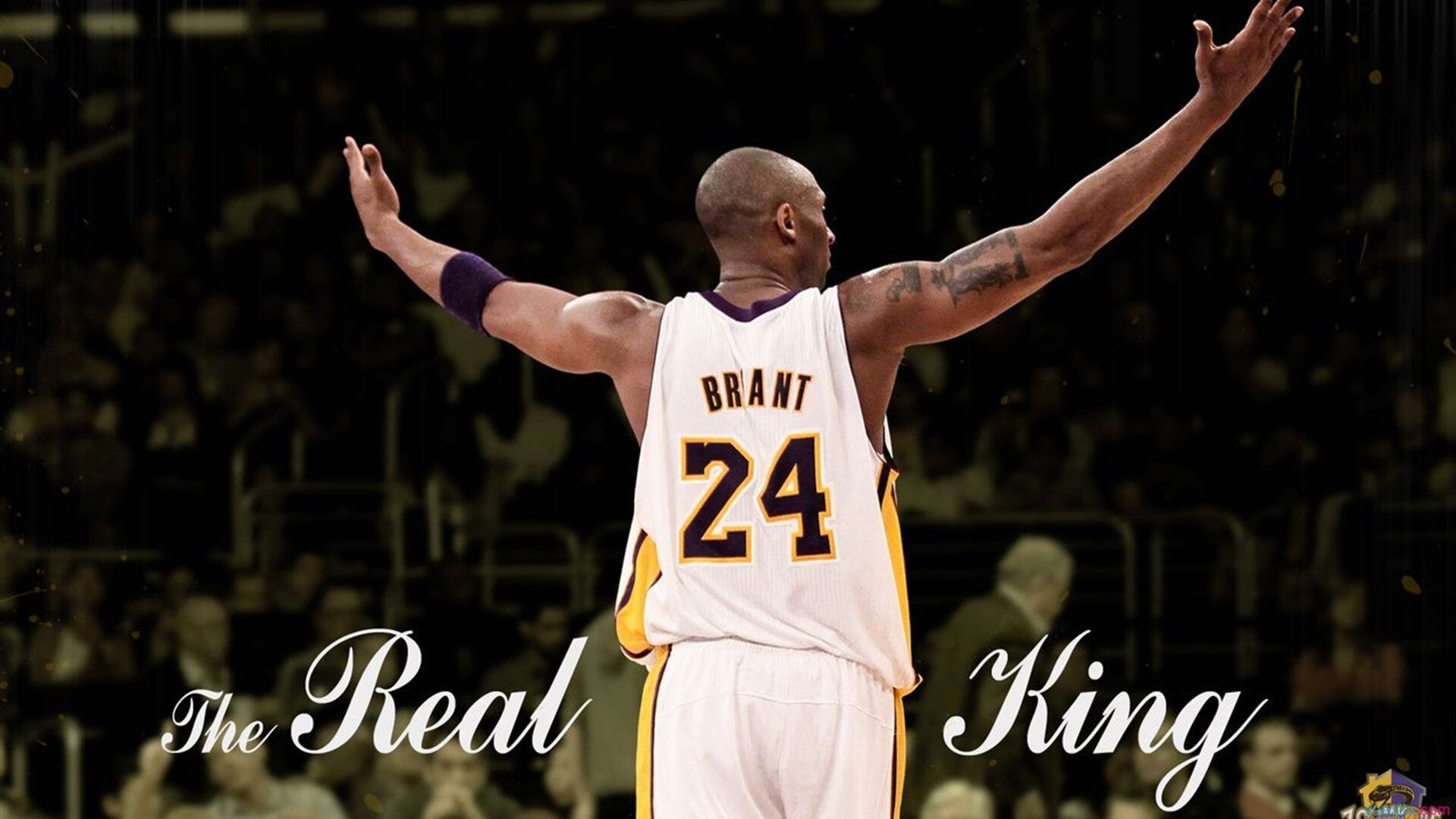 法网横扫年终总决赛，兹维列夫关键制胜的传奇之路